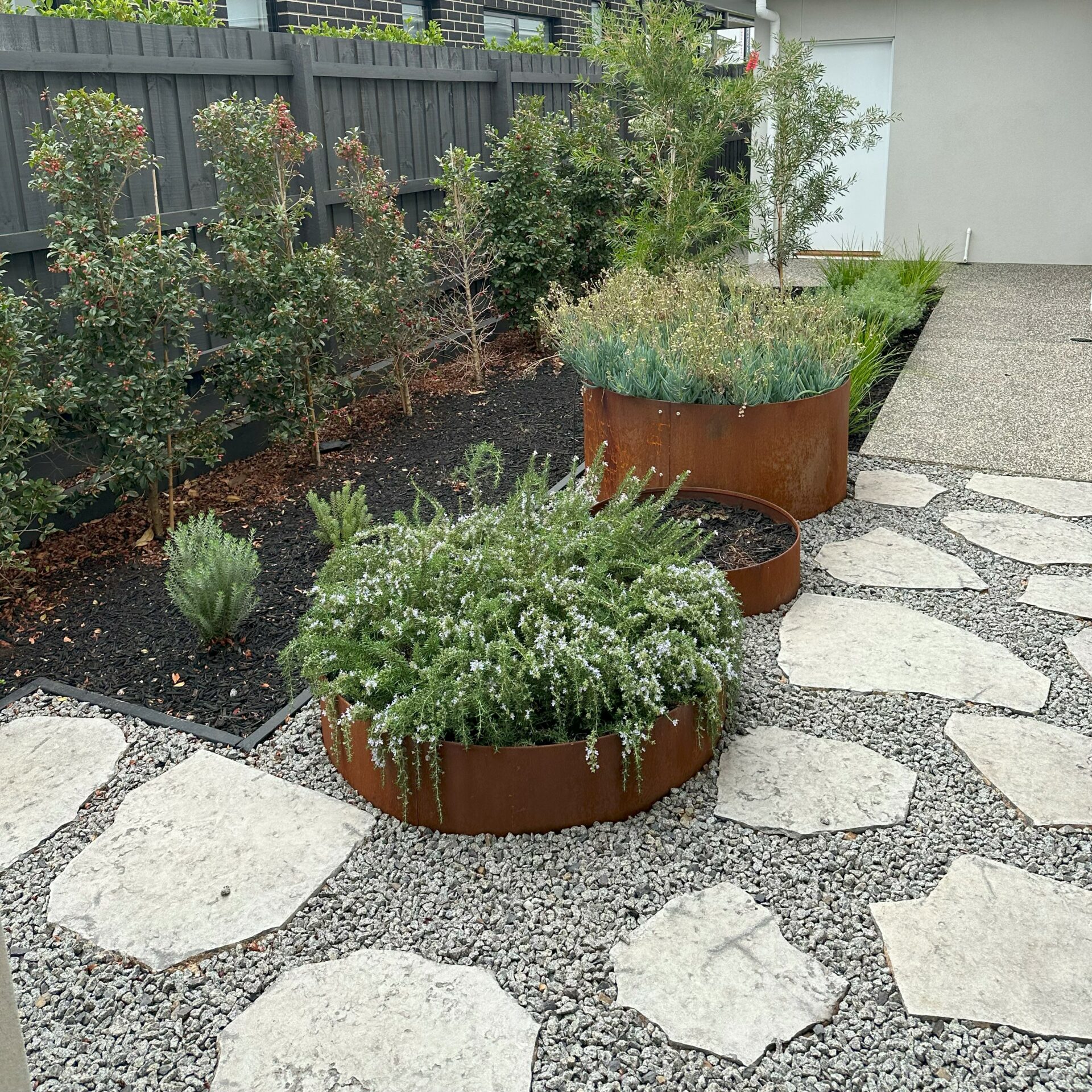 sq plants and corten steel rings and step stones 1